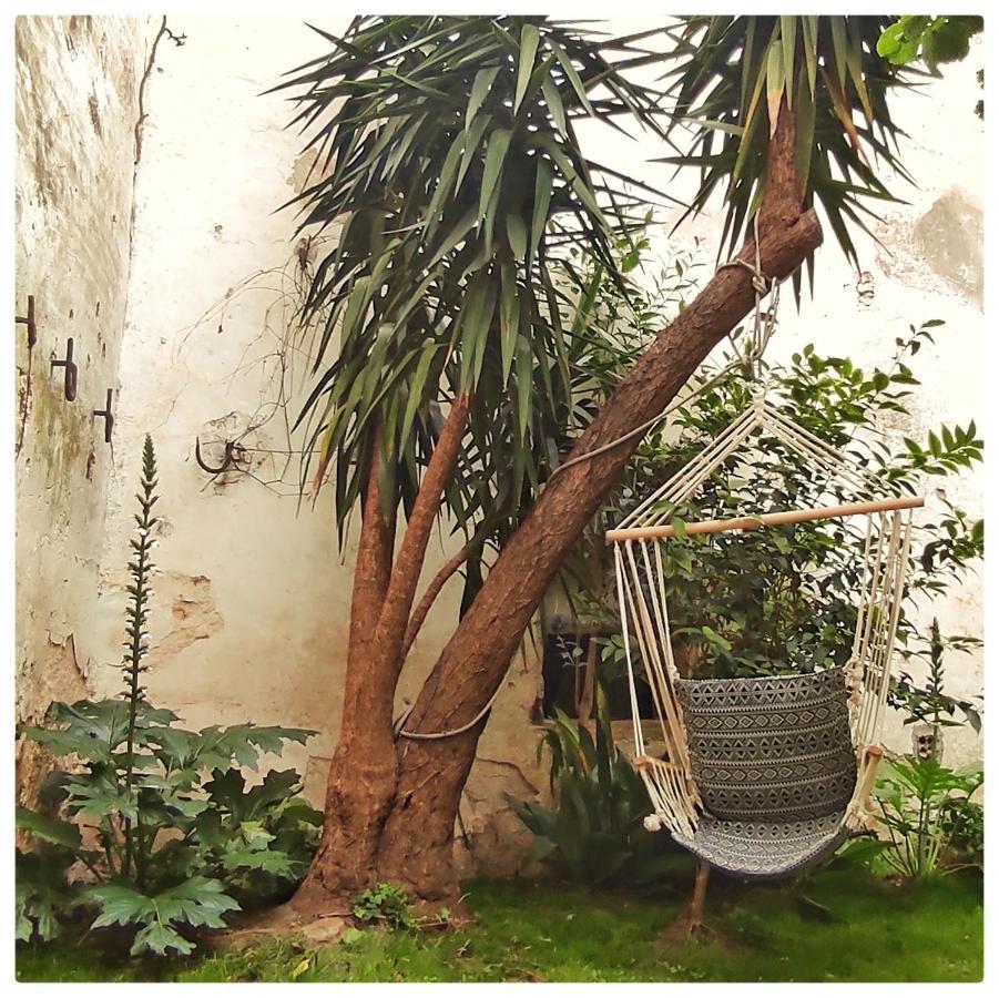 La Vigneronne Des Costieres Bed & Breakfast Vauvert Bagian luar foto